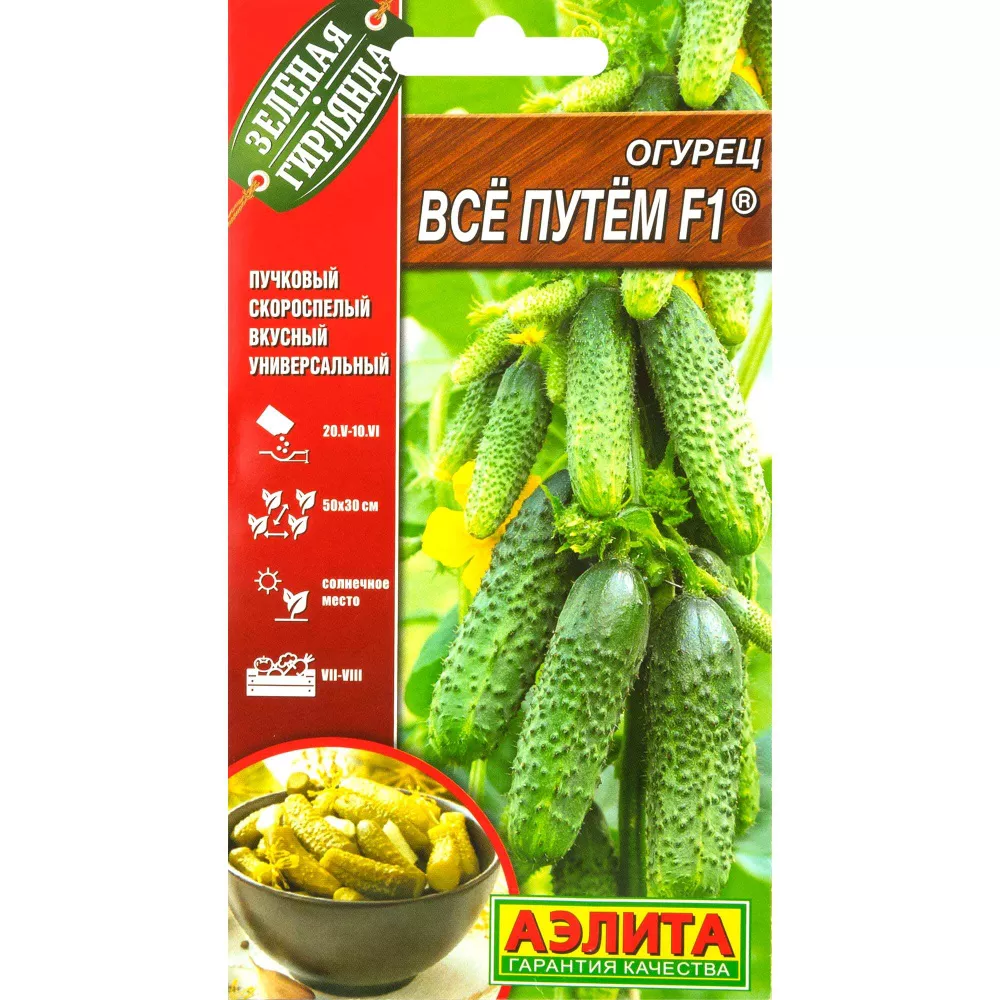 Семена Огурец партенокарпический Все путем F1 10шт, Аэлита 
