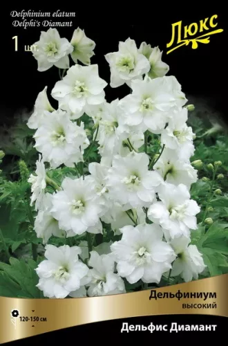 Корневище Дельфиниум высокий Дельфис Диамант1 шт Поиск 