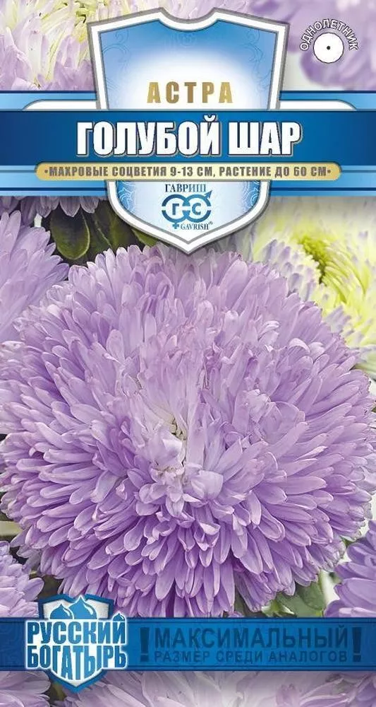 Семена Астра Голубой шар 0,05г Гавриш 