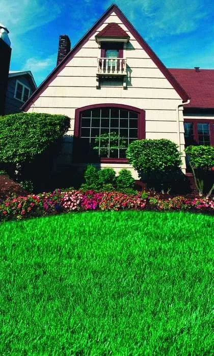 Семена Газон Универсальный Коттедж 30г, НК 