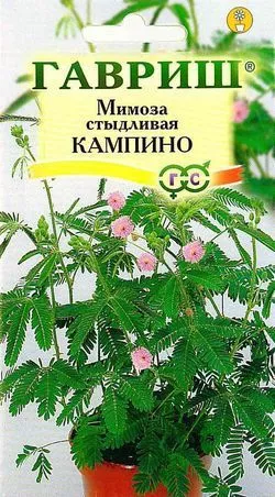 Семена мимоза стыдливая Кампино 0,1г Гавриш 