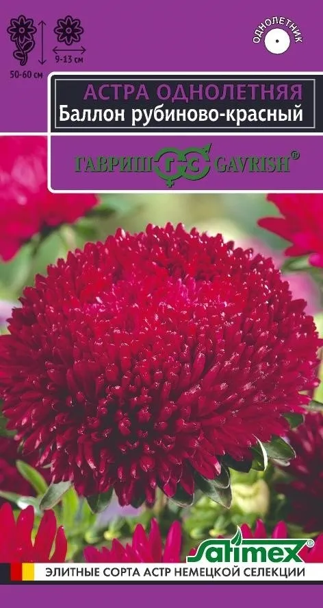 Семена Астра Баллон рубиново- красный,махровая  0,05 гр Гавриш 