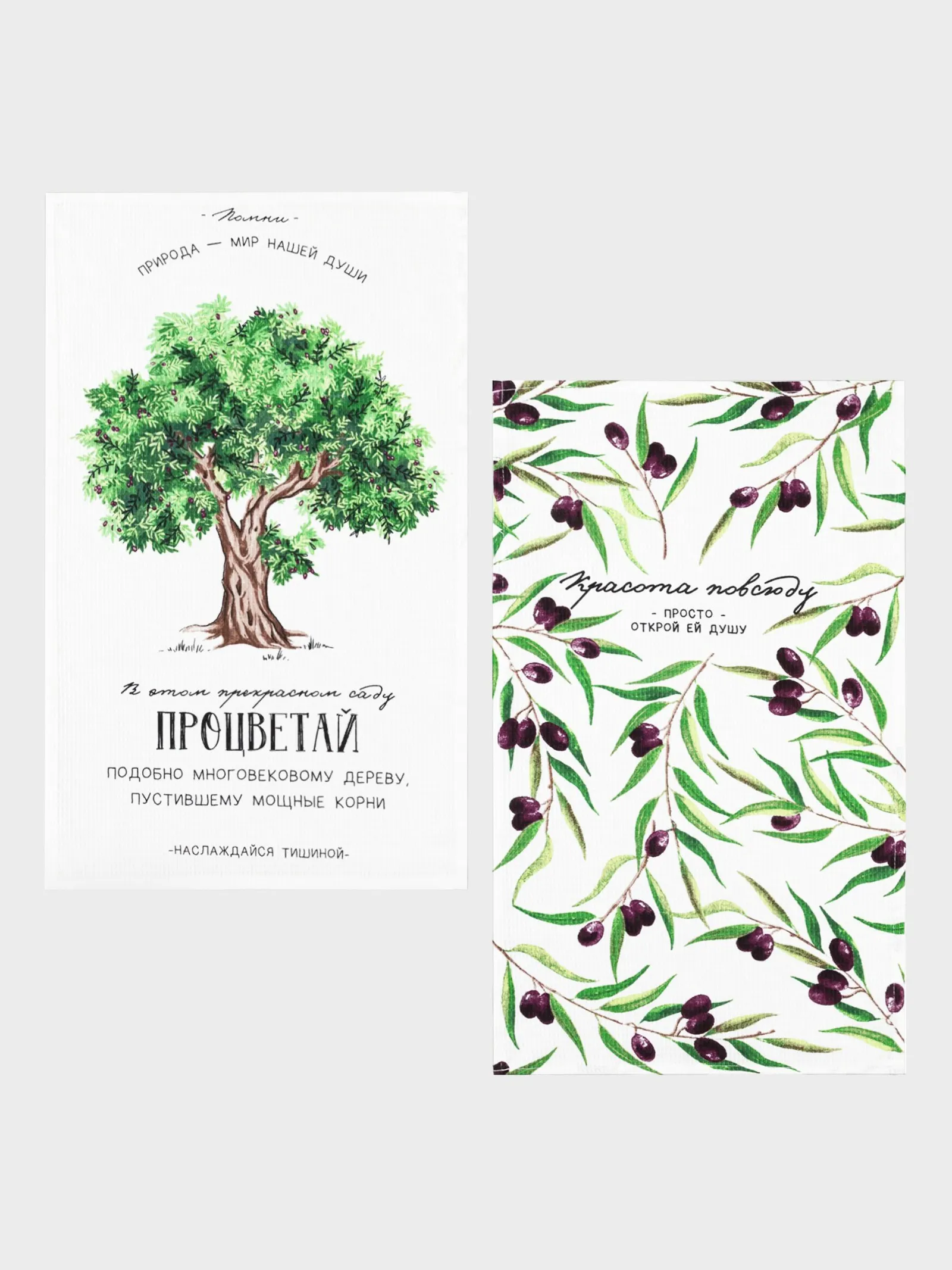 ОсновноеИзображение