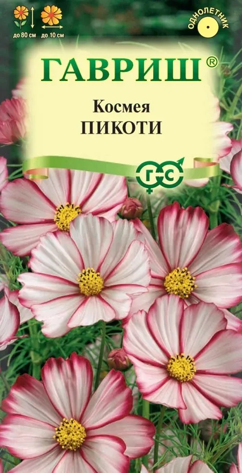 ОсновноеИзображение