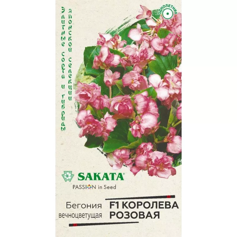 Семена Бегония Королева розовая F1 вечноцв.  4 шт. пробирка Гавриш 