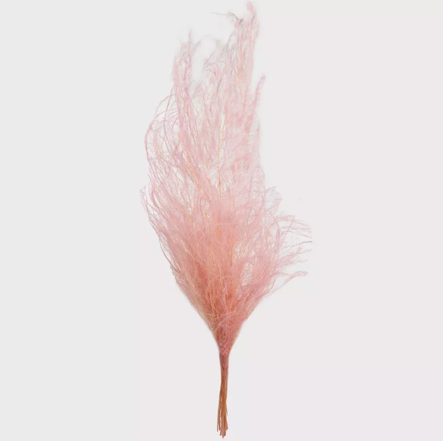 Сухоцветы Аспарагус набор 80гр 80-100см, нежно-розовый по цене 