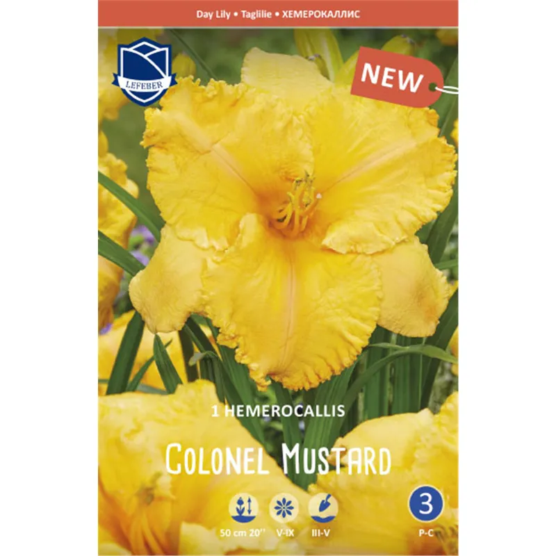 Корневище Лилейник Колонел Мастад I 1шт 