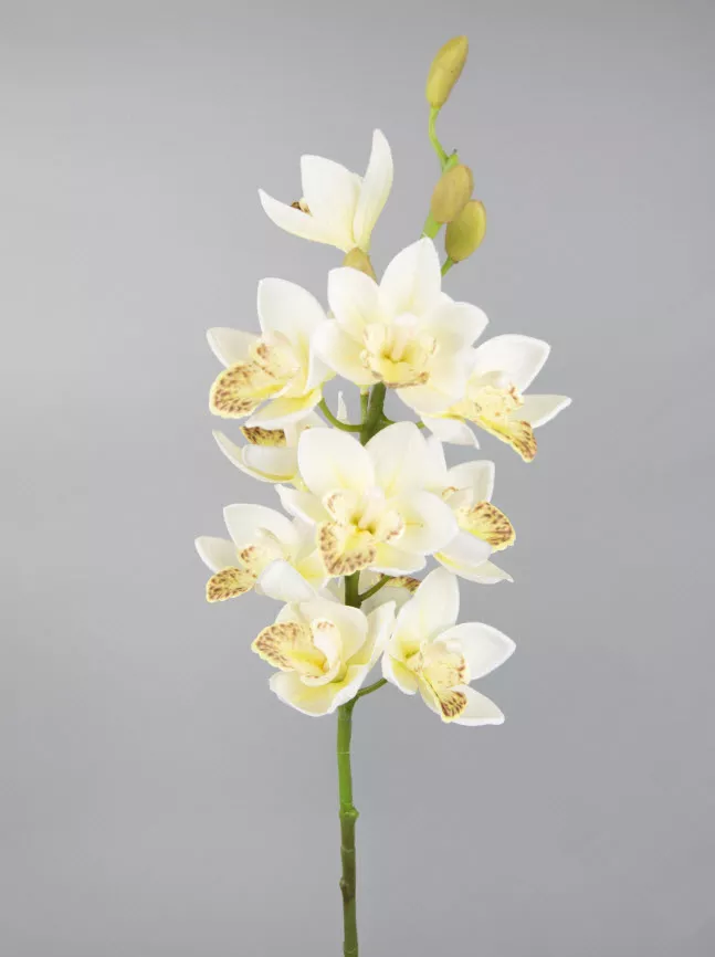 Цветок искусственный Орхидея Цимбидиум 75см, белый по цене 