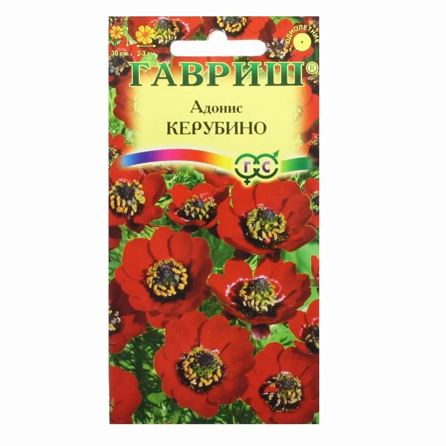 Семена адонис летний Керубино 0,2г Гавриш 