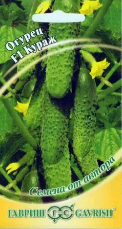 Основное изображение