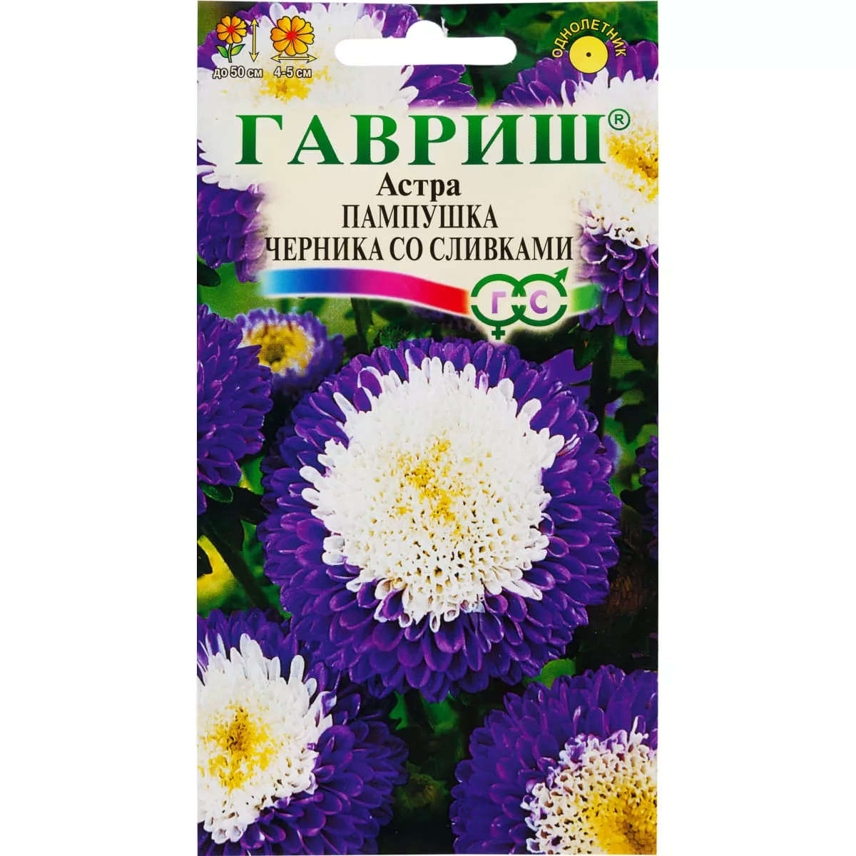 Семена астра Пампушка черника со сливками, однолетняя помпонная 0,3г Гавриш 
