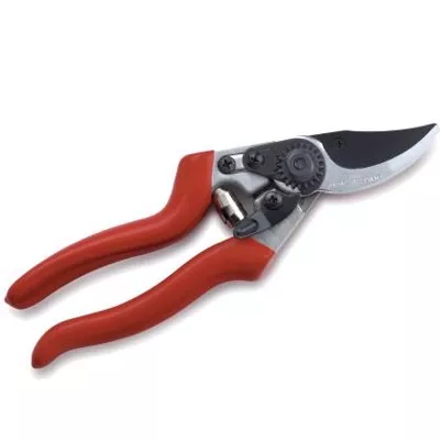 Основное изображение