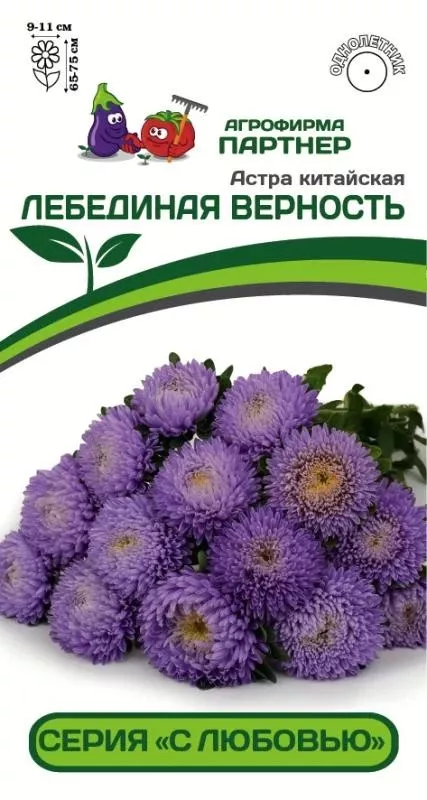 Семена Астра китайская Лебединая Верность 5 шт.Партнер 