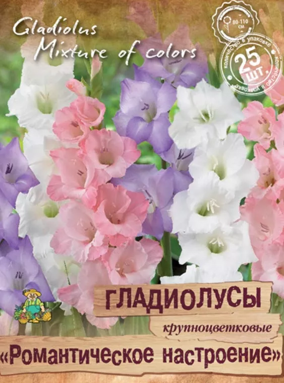 Луковица Гладиолус крупноцветковые Романтическое настроение  10/12 25шт. Поиск 