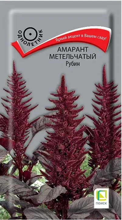 Семена  Амарант метельчатый Рубин 0,05  Поиск 