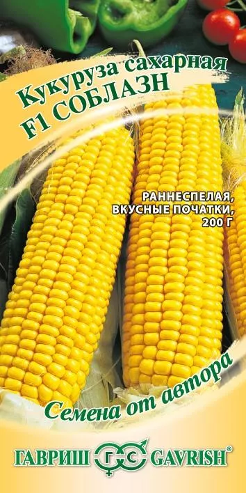 Семена кукуруза Соблазн F1 сахарная 5г автор., Гавриш 