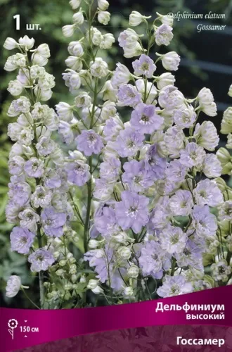 Кореневище Дельфиниум высокий Госсамер 1шт Поиск 