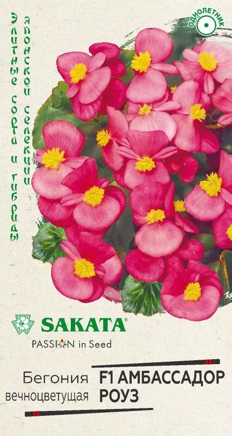 Семена Бегония Амбассадор Роуз F1 вечноцв. 4 шт. гранул. Пробирка Гавриш 
