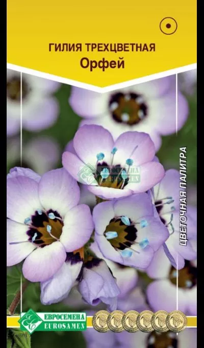 ОсновноеИзображение