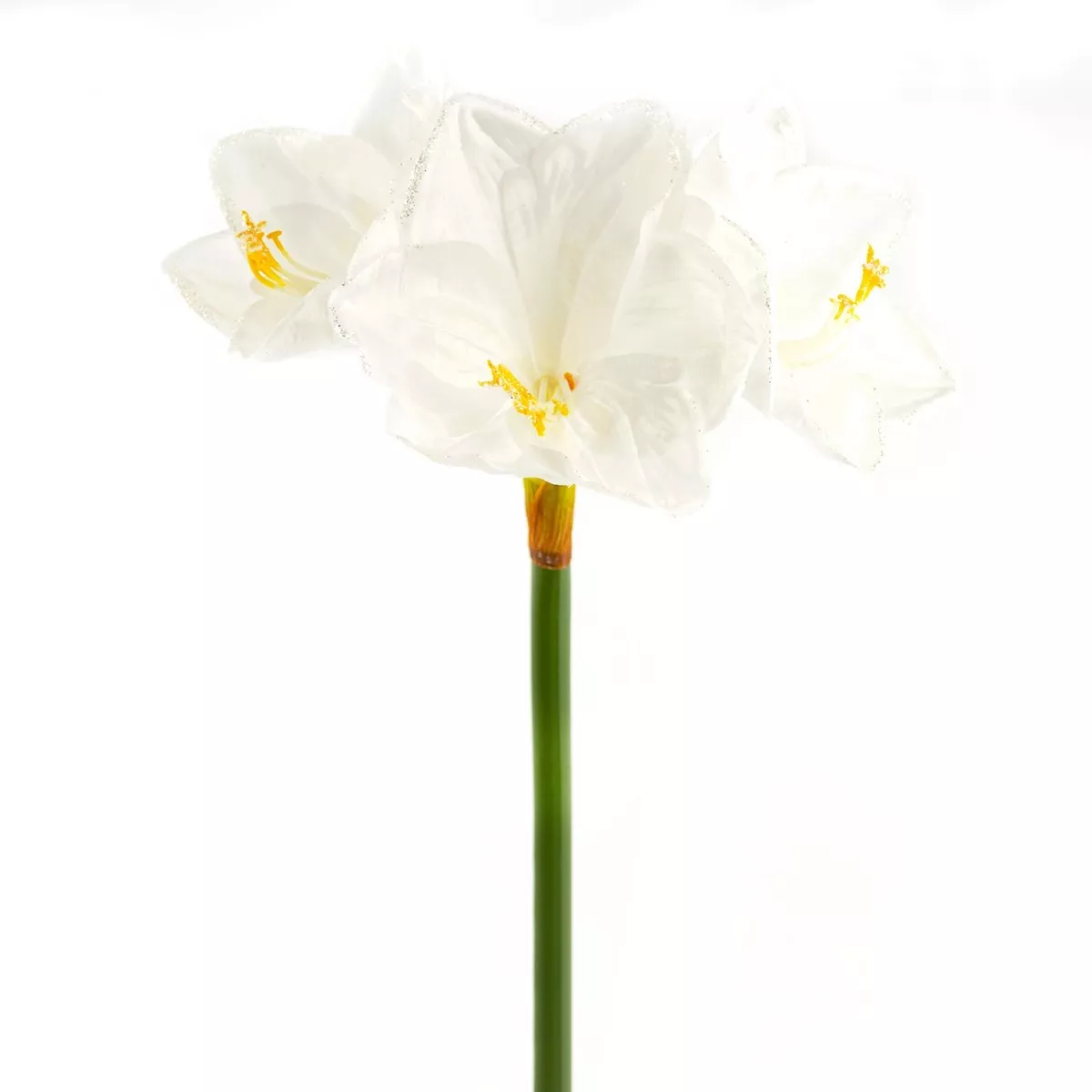 Амариллис 76 см белый 48шт арт.к000023193 по цене 