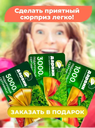 Подарочные сертификаты Подарочные сертификаты