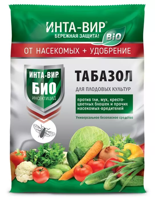 Основное изображение