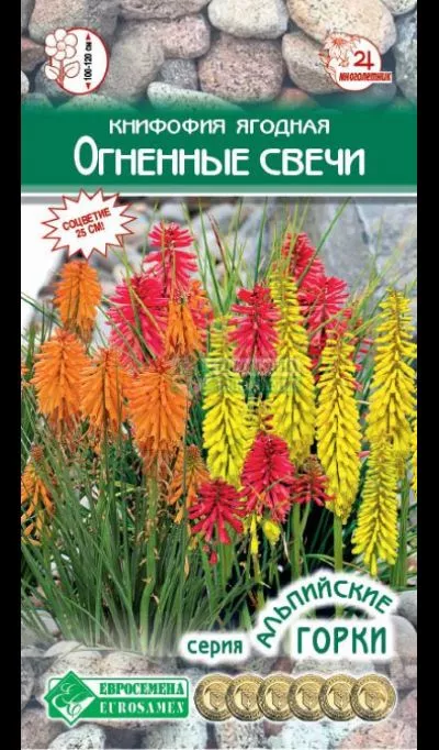 ОсновноеИзображение