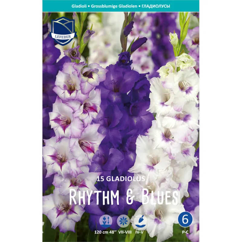 Луковица Гладиолус Ритм энд Блюз 14/16 15шт 