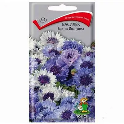 Основное изображение