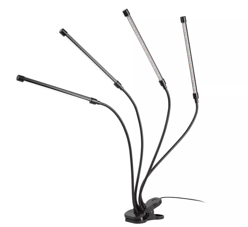 ОсновноеИзображение