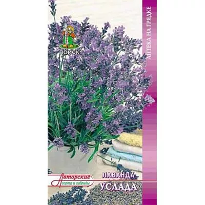 Семена лаванда декоративная Услада 0,25г Поиск 