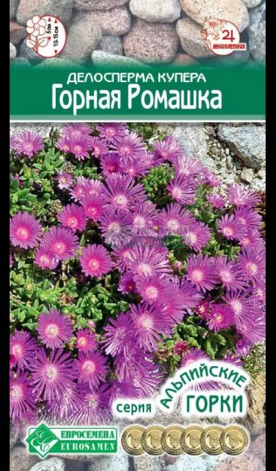 ОсновноеИзображение