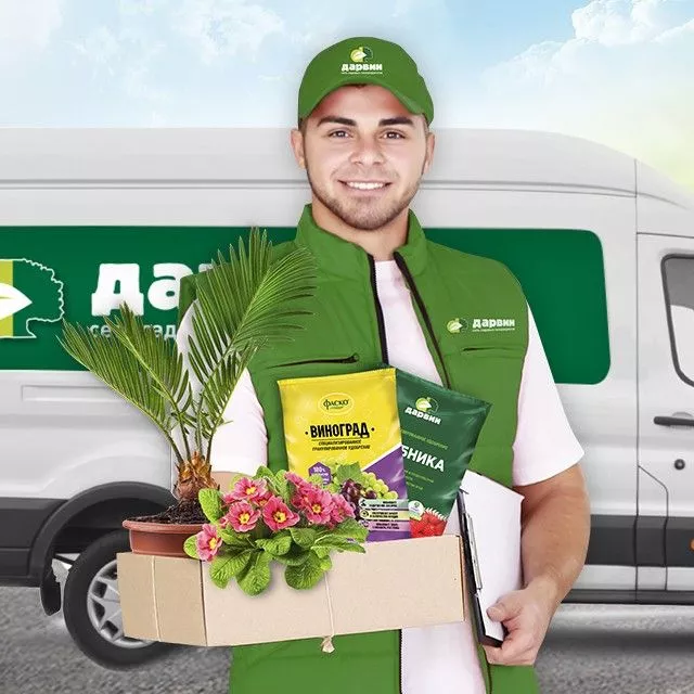 Бесплатная сборка заказа