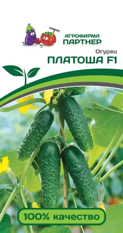 Семена Огурец партенокарпический Платоша F1 5 шт.Партнер 
