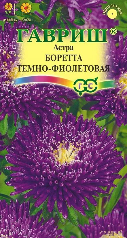 Семена астра Боретта темно-фиолетовая, однолетняя (принцесса) 0,3г Гавриш 
