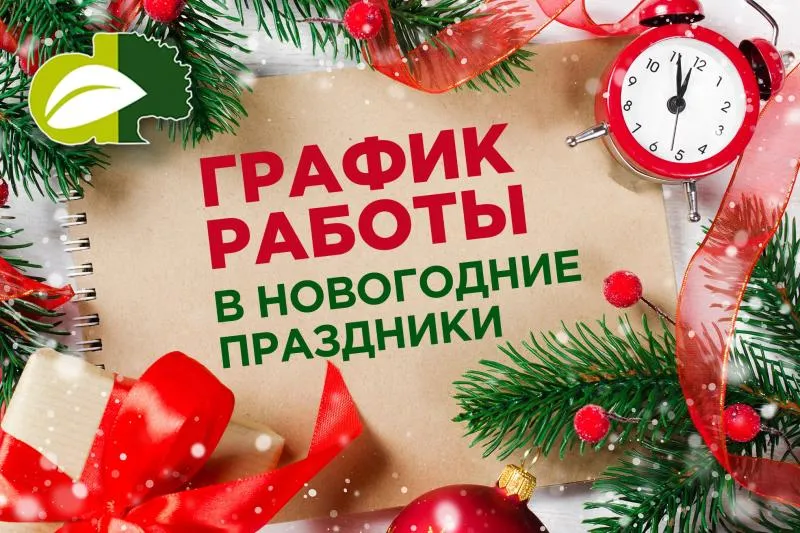 Режим работы в новогодние праздники