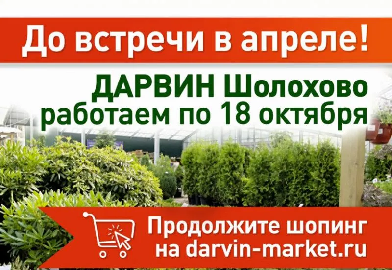Завершаем сезон в ДАРВИН Шолохово