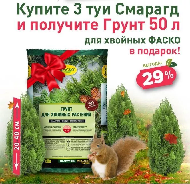 Дачный сезон ещё в силе!