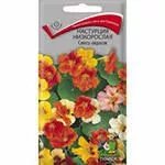 Основное изображение