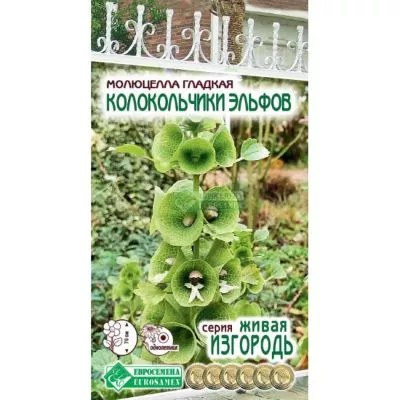 ОсновноеИзображение