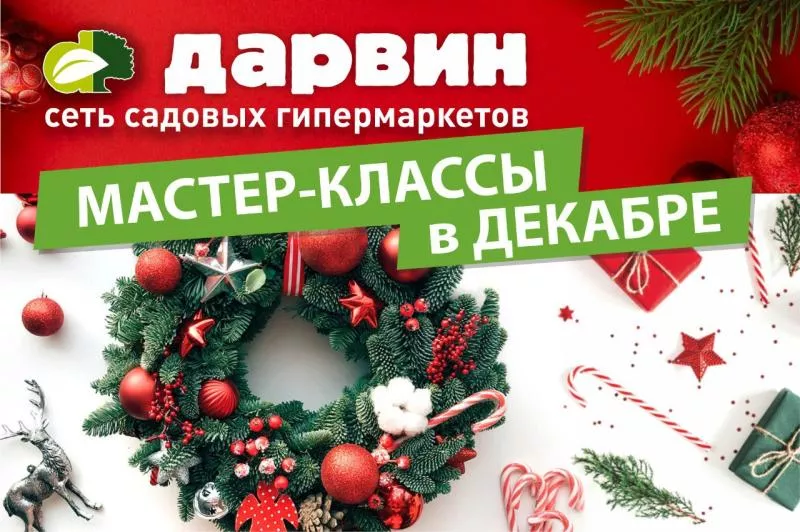 Мастер-классы на декабрь