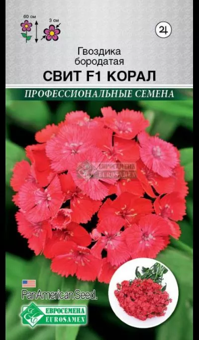 ОсновноеИзображение