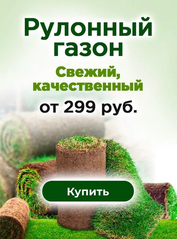 Рулонный газон