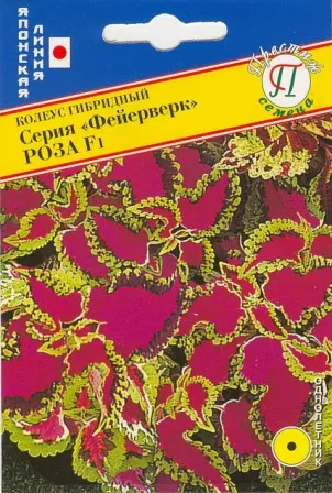 Семена колеус Фейерверк Роза F1 10шт Престиж 