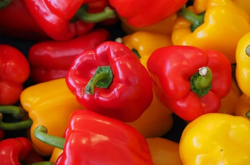 Как выбрать лучшие сорта перца 