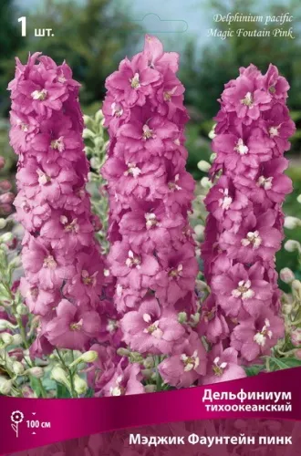 Кореневище Дельфиниум тихоокеанский Мэджик Фаунтейн пинк 1шт Поиск 