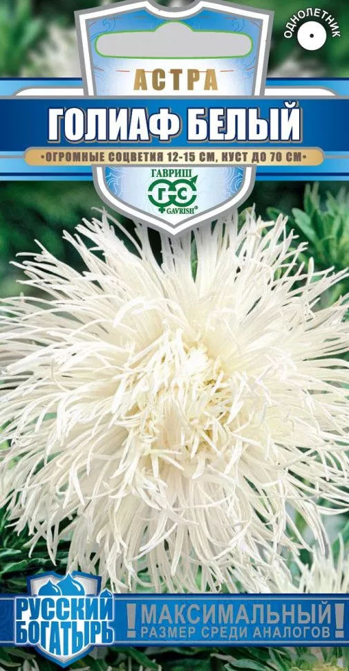 Семена Астра Голиаф белый 0,3 г Гавриш 