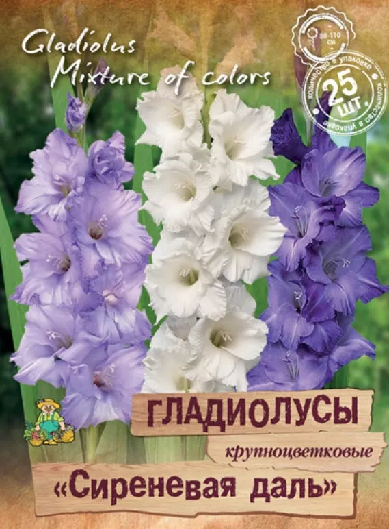 Луковица Гладиолус крупноцветковые Сиреневая даль 10/12  25шт. Поиск 