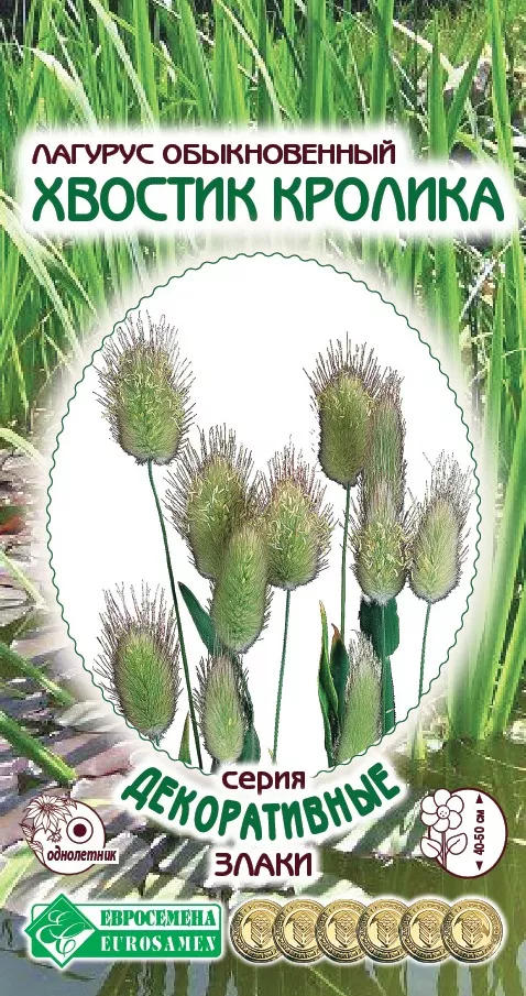 ОсновноеИзображение