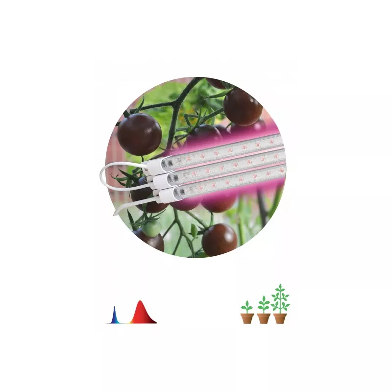 ОсновноеИзображение